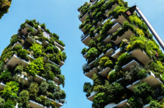 Architettura Verde, ISMEA: PAC grande opportunità per coniugare dimensione economica, ambientale e sociale