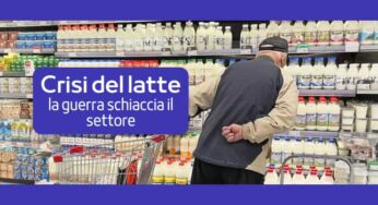 Crisi produzione del latte: la guerra mette in ginocchio il settore