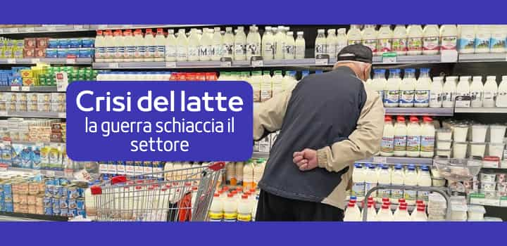 Crisi produzione del latte: la guerra mette in ginocchio il settore