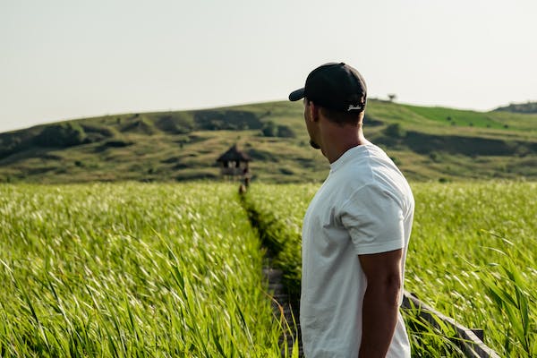 Giovani in agricoltura: acquisto di terreni finanziato da ISMEA