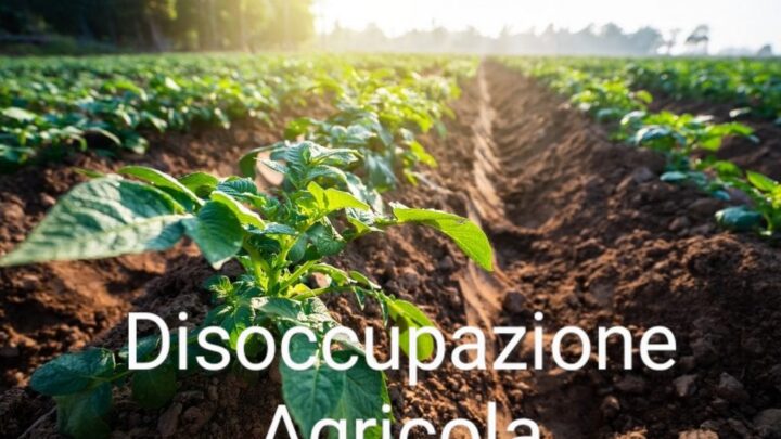 Disoccupazione Agricola: disposto oggi il pagamento